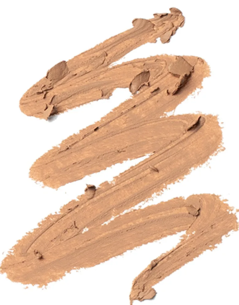 The Complexion stick