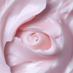 The High Five Rose