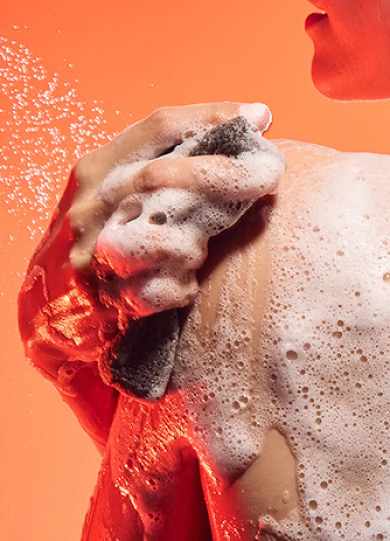 The Konjac Sponge