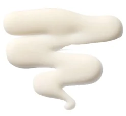 The Leave-In Hair Treatment