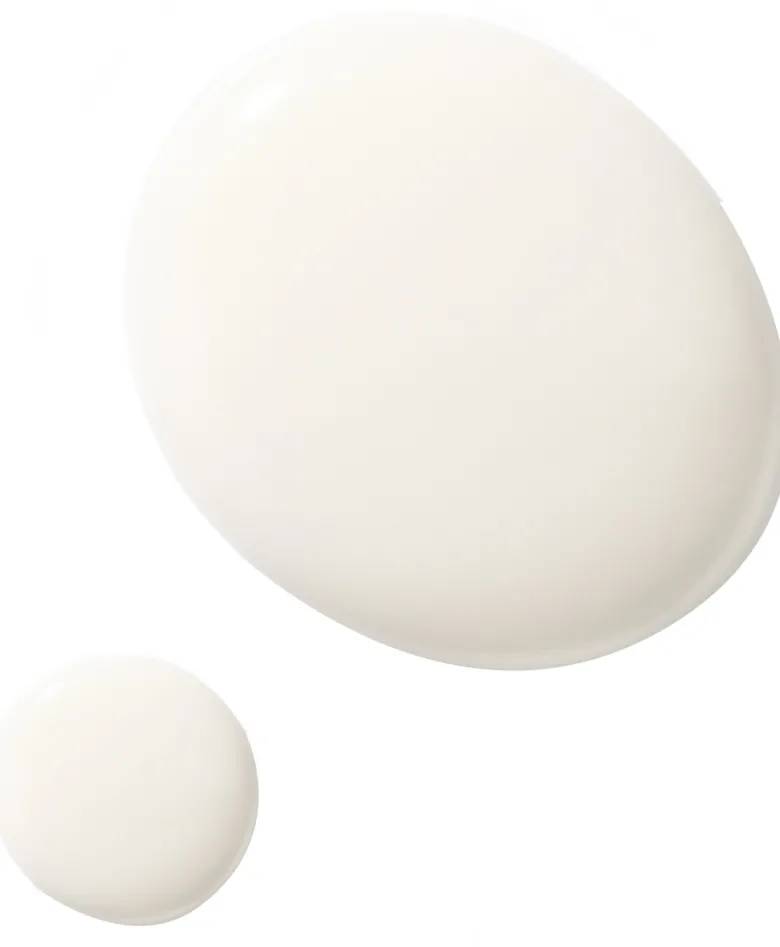 THE LIGHT CREAM