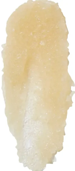 THE NUDIST BODY SCRUB