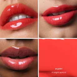The PLASMA Lip Compound