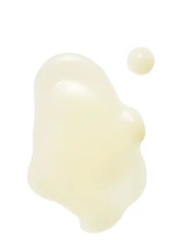 The Shroom Essence