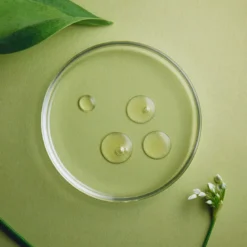 The Spring Skin Exfoliant