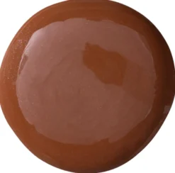 The SUPER Tinted Hydrator