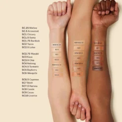 True Skin Serum Concealer