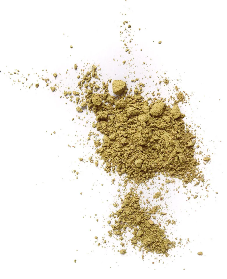 Ultimate Foundation