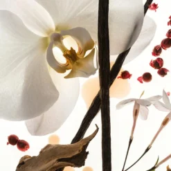 Vanilla Skin Body Oil