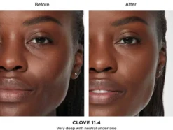 Vanish™ Airbrush Concealer