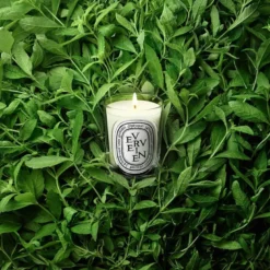 Verveine Classic Candle