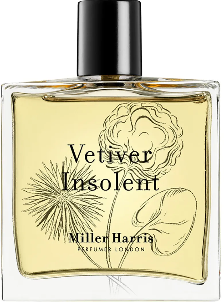 Vetiver Insolent