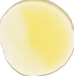 Vitamin C Elixir