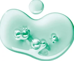 Wild Mint & Lavandin Bath & Shower Gel