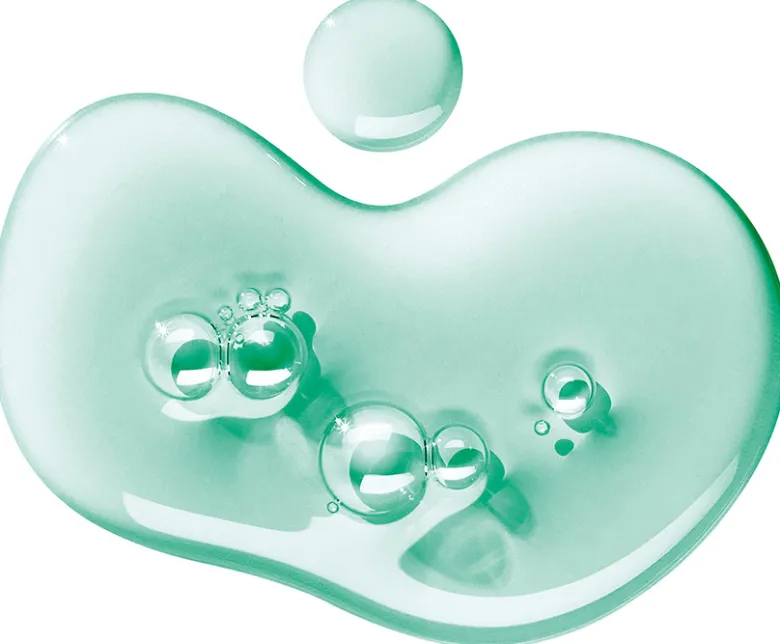 Wild Mint & Lavandin Bath & Shower Gel